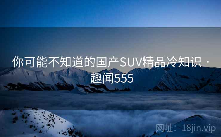 你可能不知道的国产SUV精品冷知识 · 趣闻555  第1张